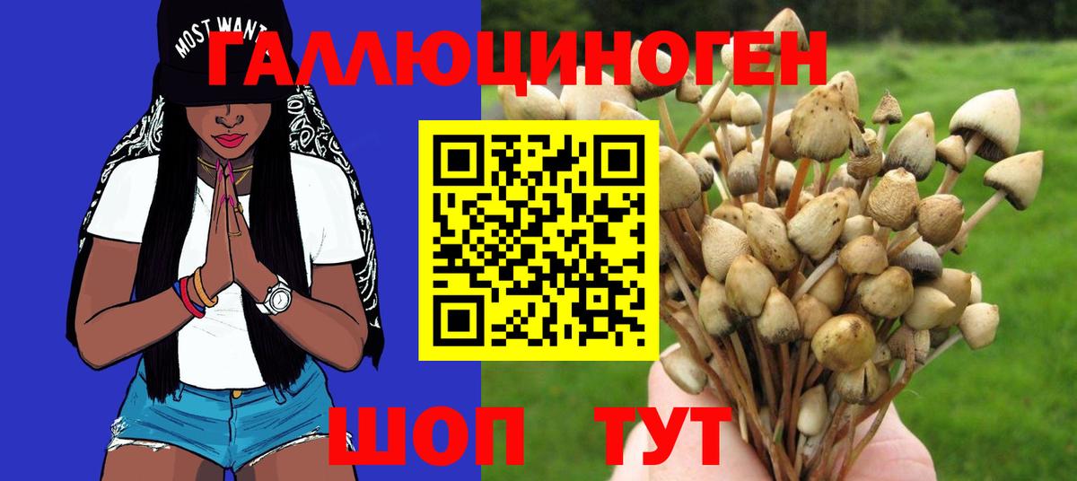 Псилоцибиновые грибы прущие грибы Обнинск